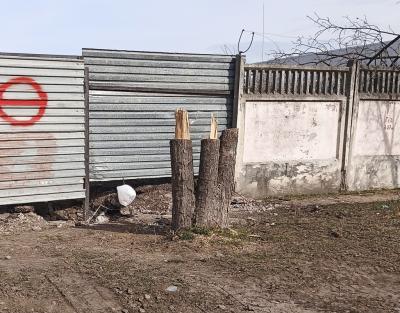 Прикрепленное изображение: 003.jpg